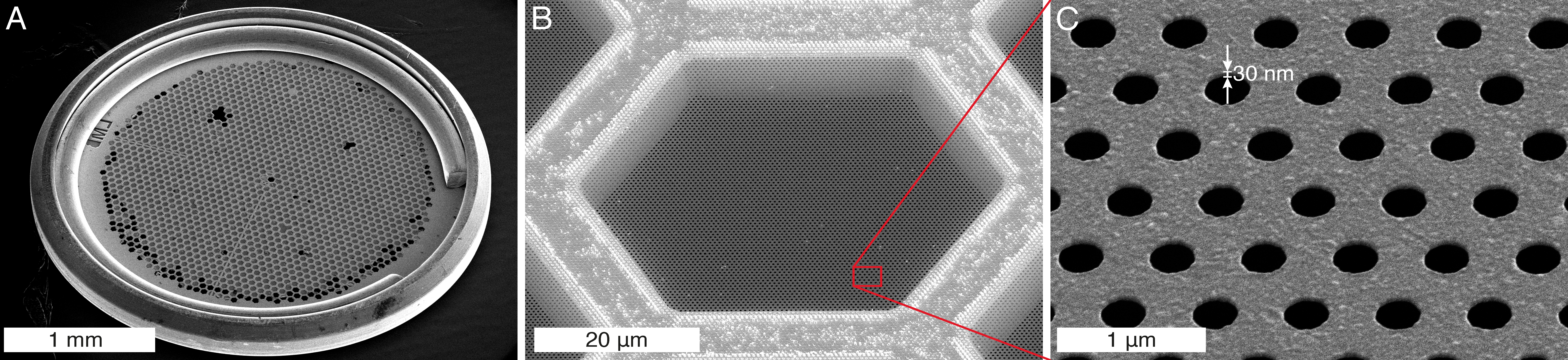 Scanning electron micrographs of the improved cryoEM specimen supports