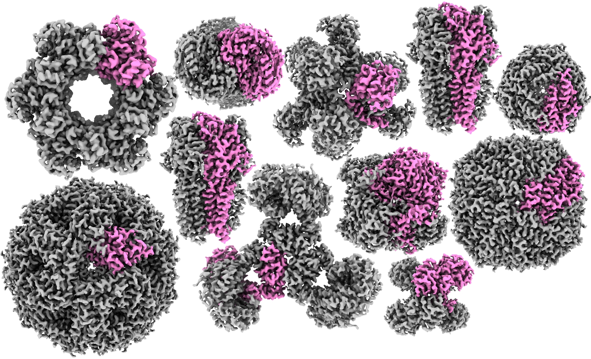 A collection of protein structures, determined using cryoEM at 100 keV